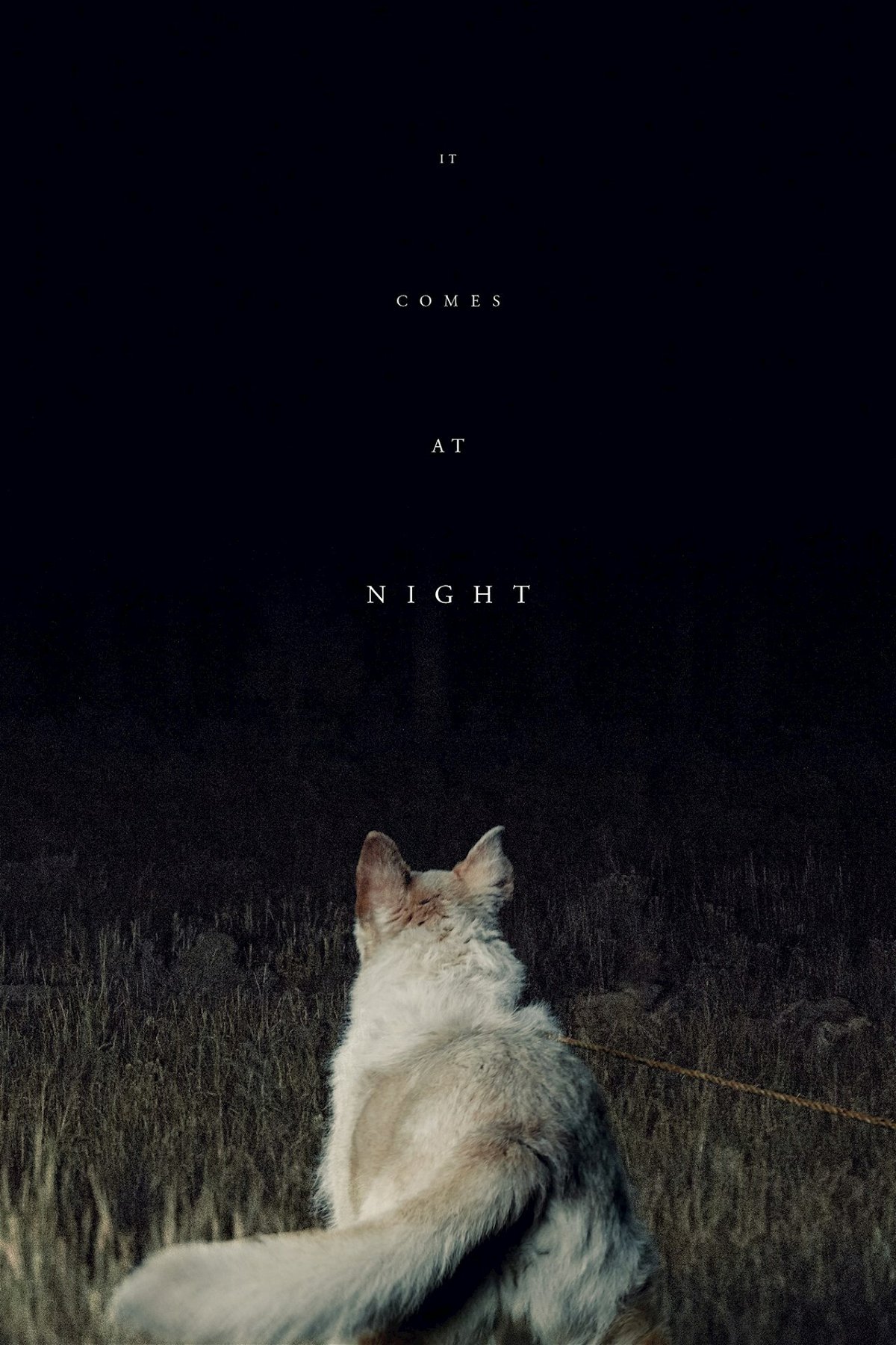 Il poster di It Comes at Night