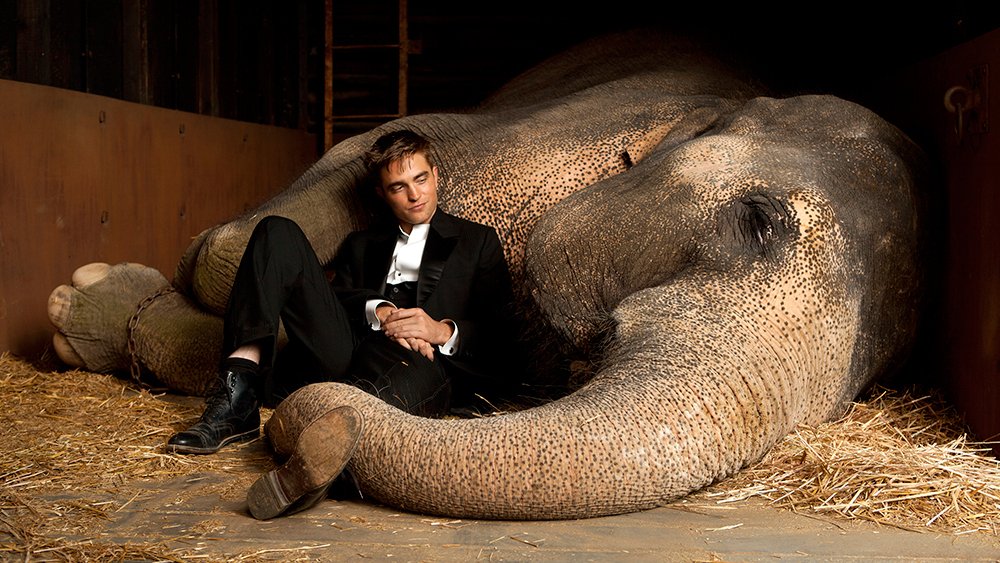Una scena di Come l'acqua per gli elefanti con Pattinson e l'elefante