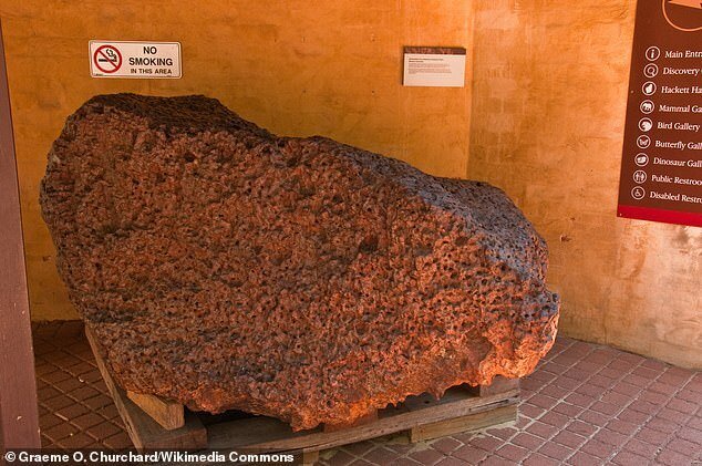 Uno scatto del meteorite Mundrabilla