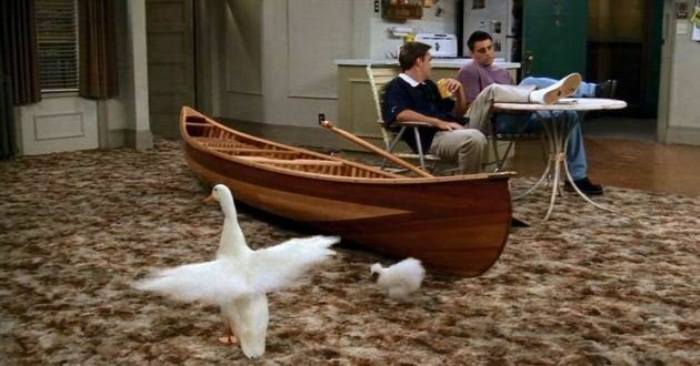 Il gallo e l'oca nell'appartamento di Joey e Chandler in Friends
