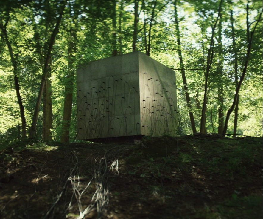 Il cubo del Quantum nel folto della foresta