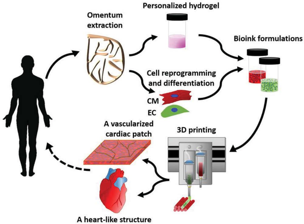 Creazione e utilizzo del cuore stampato in 3D