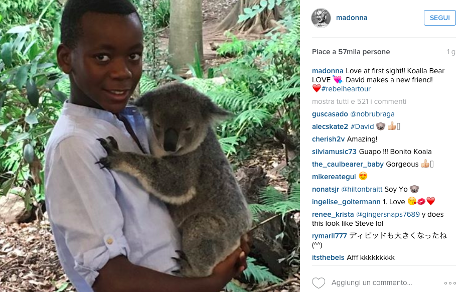 Foto di David con koala postata da Madonna su Instagram