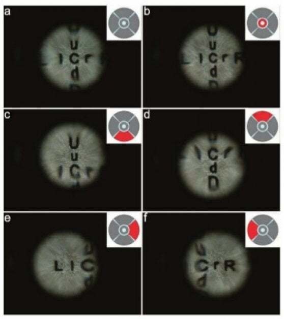 Alcune immagini mostrano il funzionamento della lente biometrica