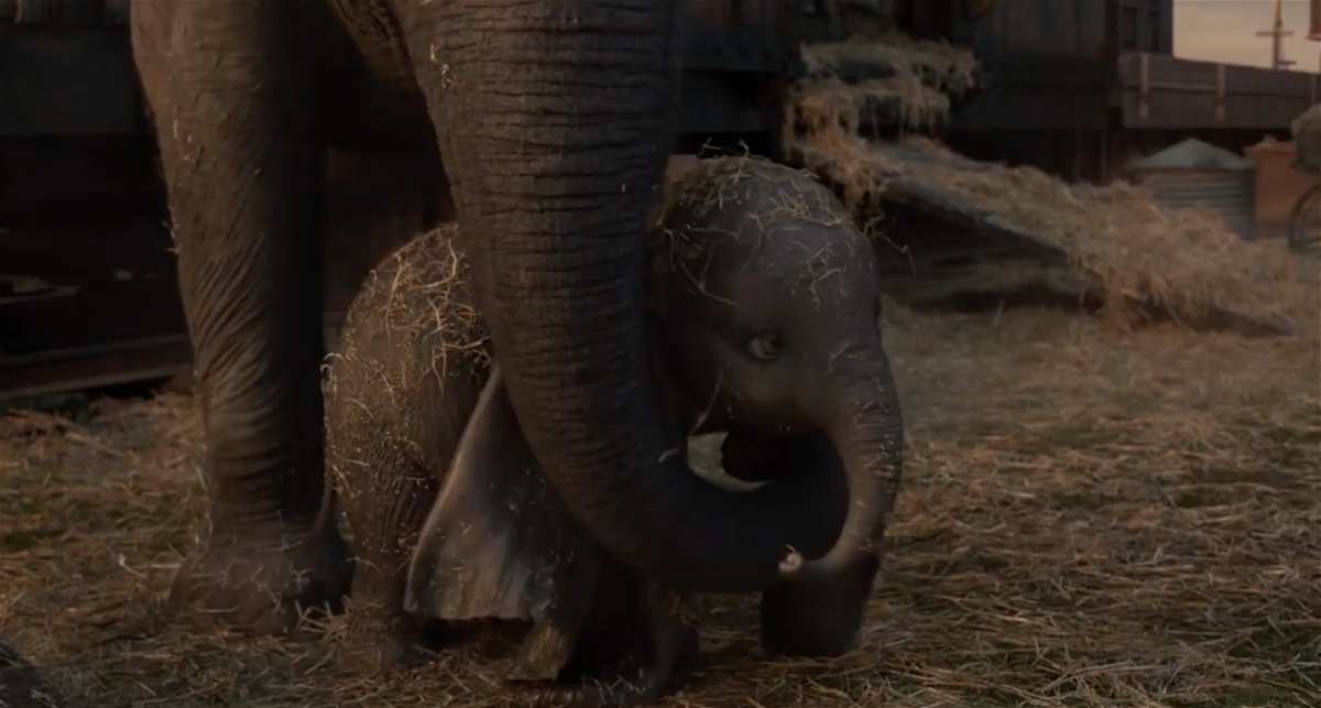 Dumbo e la madre