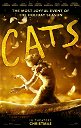 Copertina di Cats, il trailer del film con Taylor Swift e un cast di star