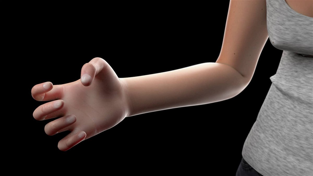 La ricostruzione virtuale di una mano umana secondo TollFreeForwarding.com