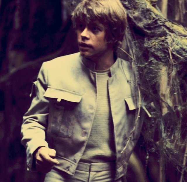 Mezzobusto di Mark Hamill nei panni di Luke Skywalker sullo sfondo di una foresta
