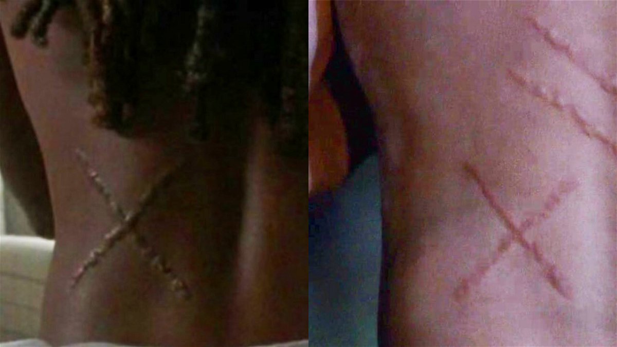 Le misteriose cicatrici sulle schiene di Michonne e Daryl in The Walking Dead