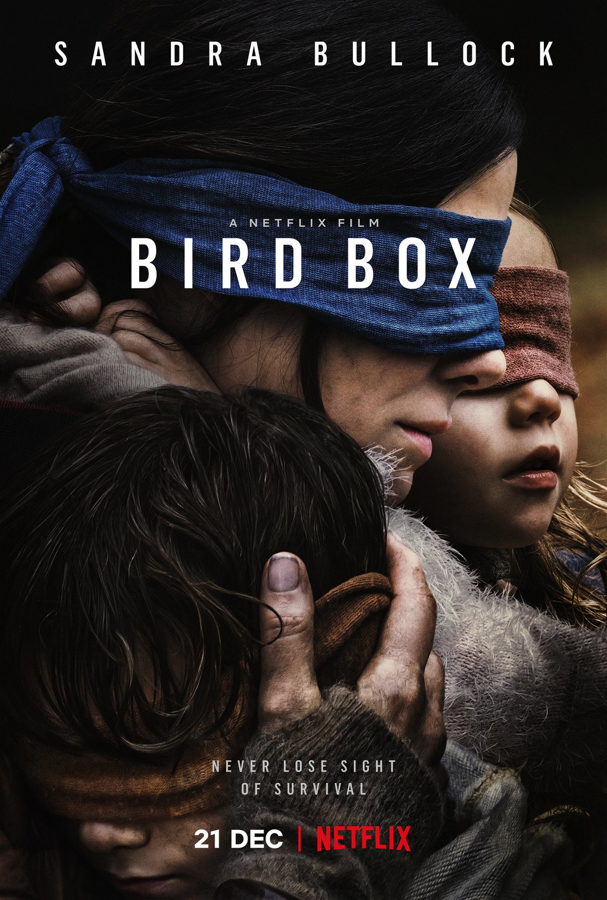 Il poster coi protagonisti di Bird Box