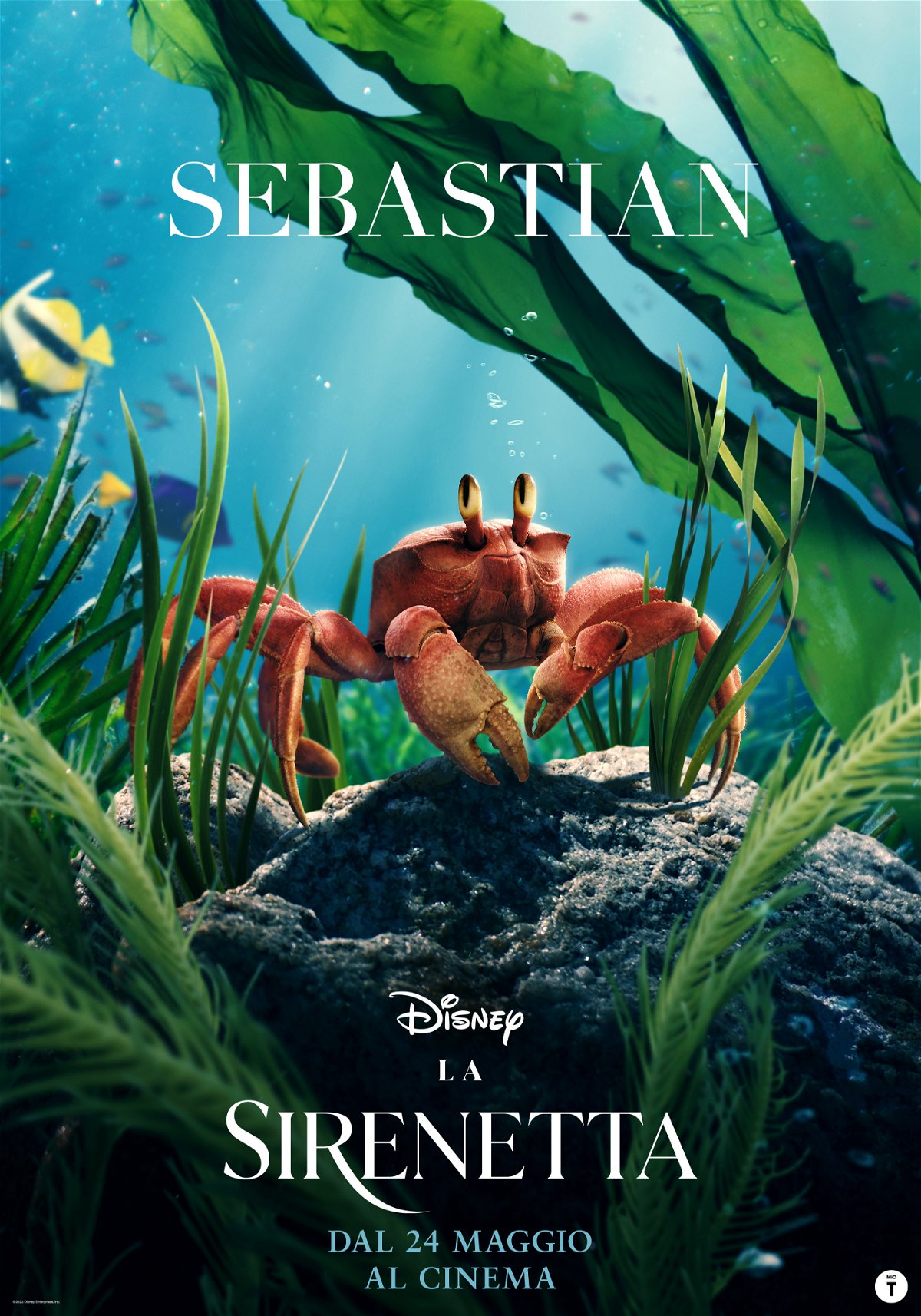 La sirenetta poster - Sebastian sott'acqua su una roccia