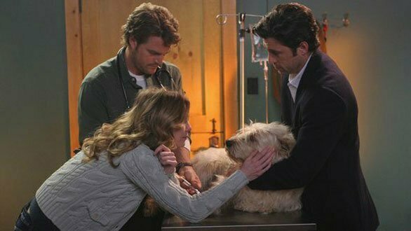 Doc dal veterinaio Finn con Meredith e Derek in una scena di Grey's Anatomy 2