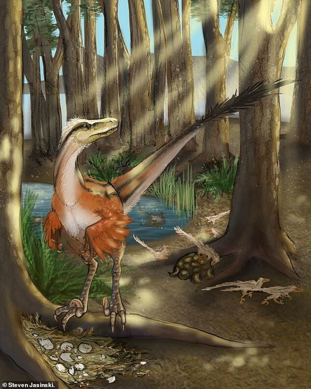 Una ricostruzione del Dineobellator notohesperus