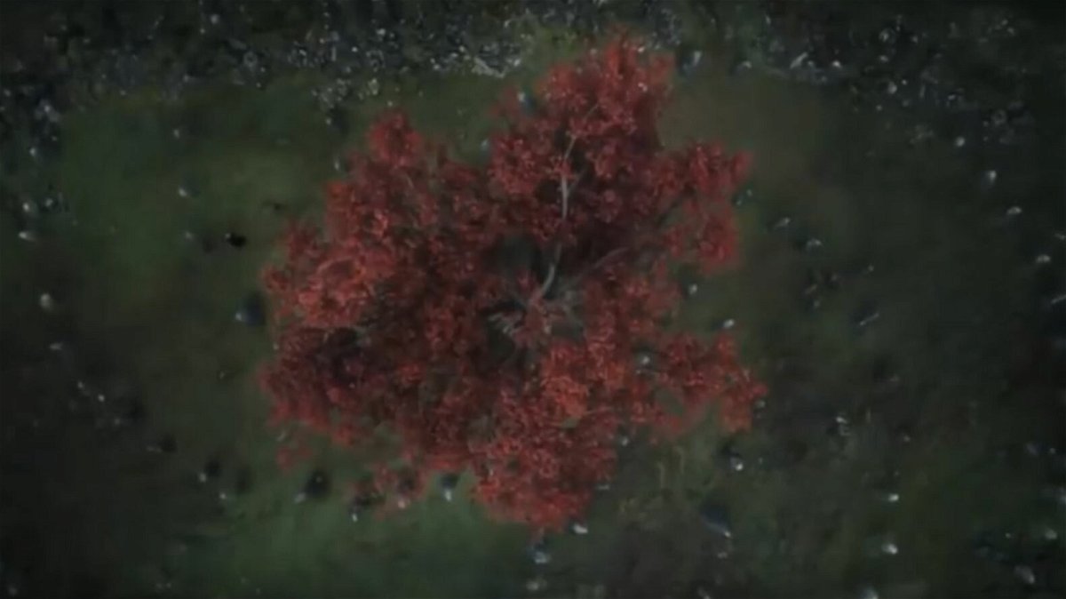 GoT 6: l'albero diga dove nasce il Re della Notte in una visione di Bran