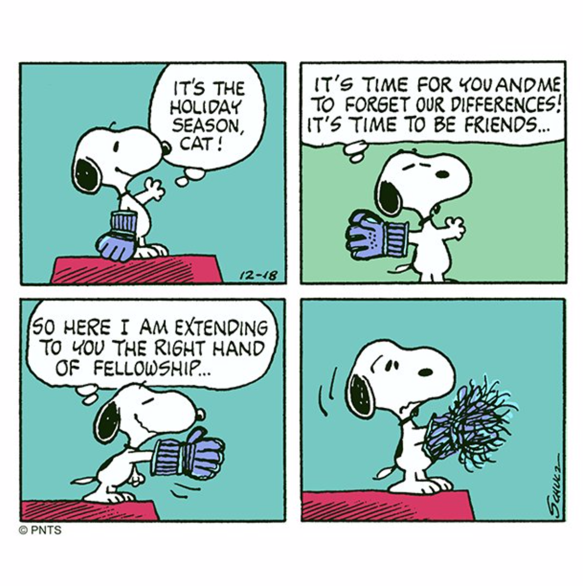 Un fumetto di Snoopy