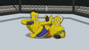 Le MMA nei Simpson
