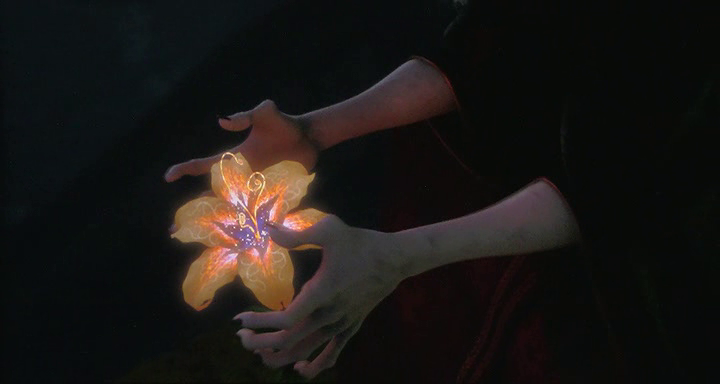 Il fiore magico presente in Rapunzel