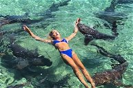 Copertina di Per lo scatto perfetto su Instagram: la modella morsa da uno squalo