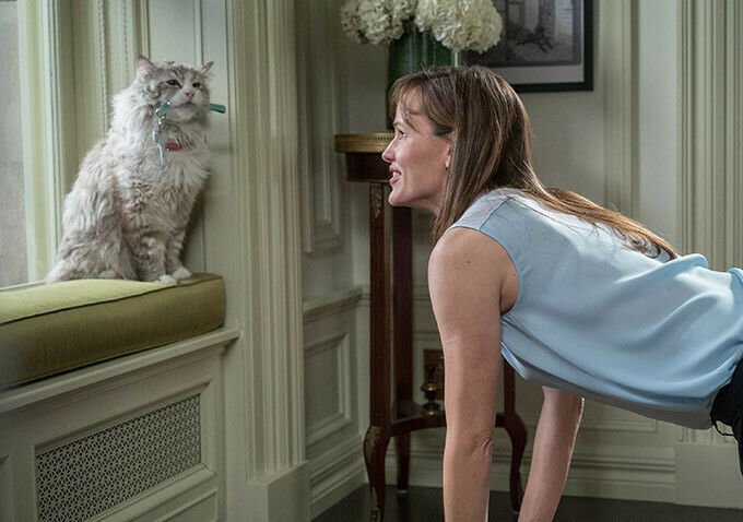 Clicca per vedere l'immagine originale Una scena del gatto e Jennifer Garner nel film Una Vita da Gatto