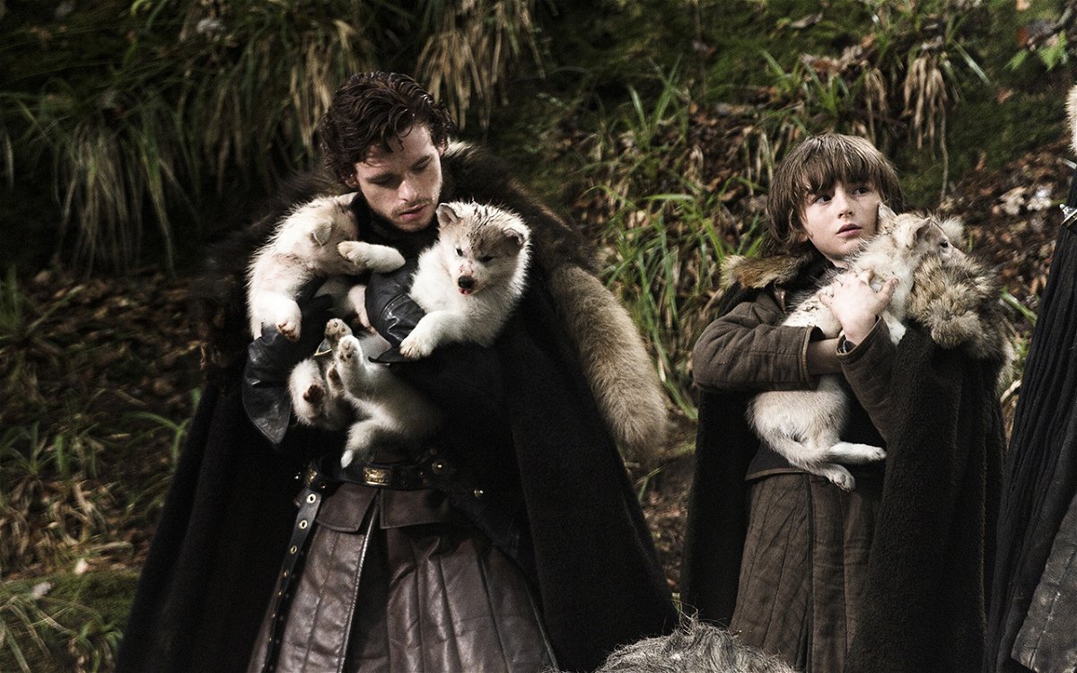 Due cuccioli di metalupi con Robb e Bran Stark ne Il trono di spade