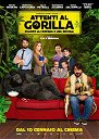 Copertina di Trailer e poster di Attenti al gorilla, la commedia con Frank Matano e Cristiana Capotondi