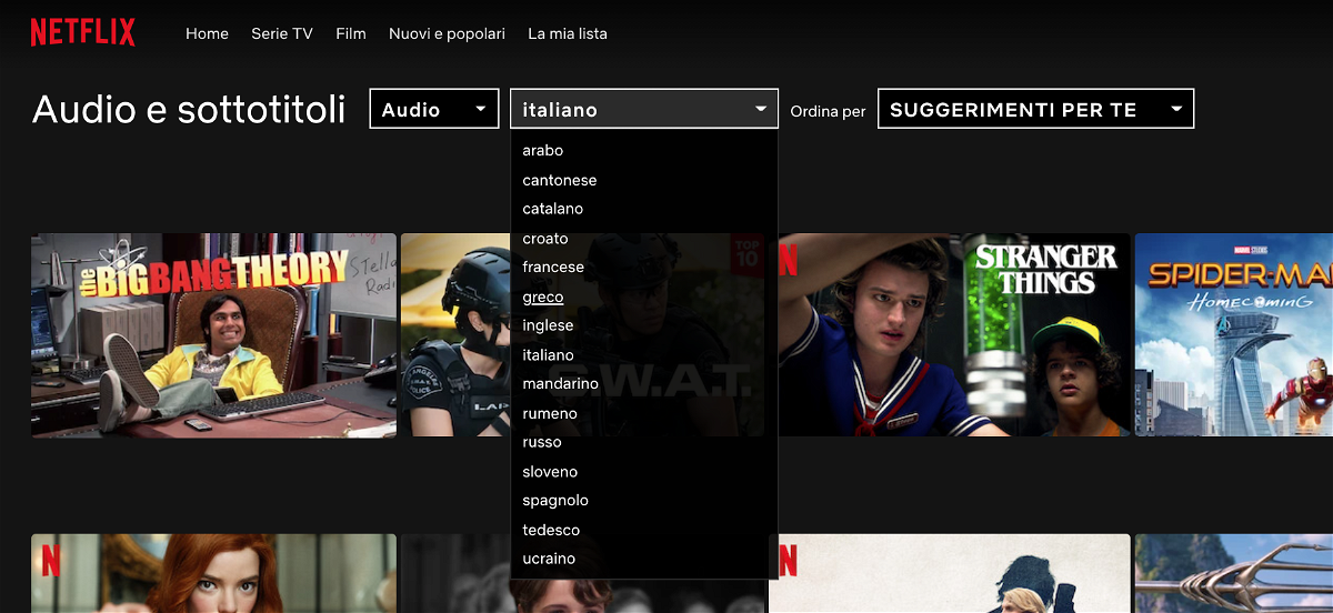Interfaccia web per ricerca di audio e sottotitoli su Netflix