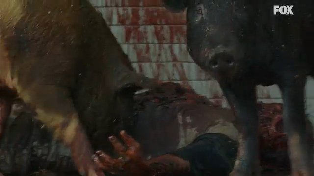 Cinghiali zombie in The Walking Dead 7