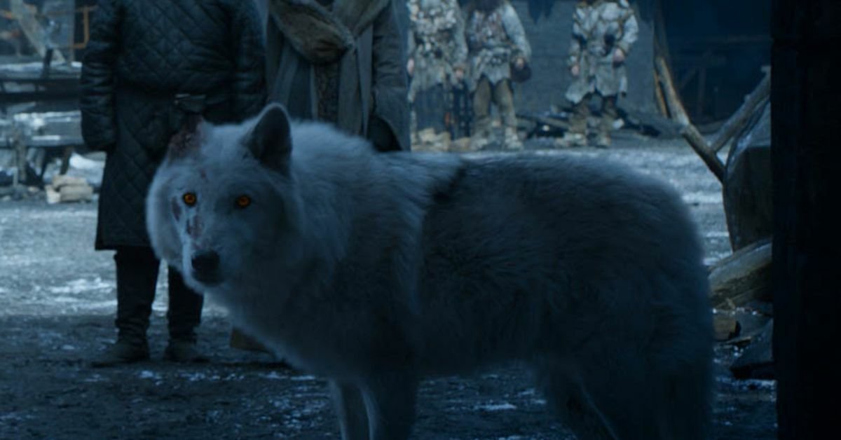 Game of Thrones: Ghost nell'episodio 8x04