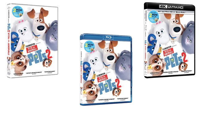 Pets 2 - Vita da animali, il film nei formati DVD, Blu-ray e 4K ultra HD