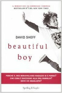 Copertina del libro di David Sheff Beautiful Boy