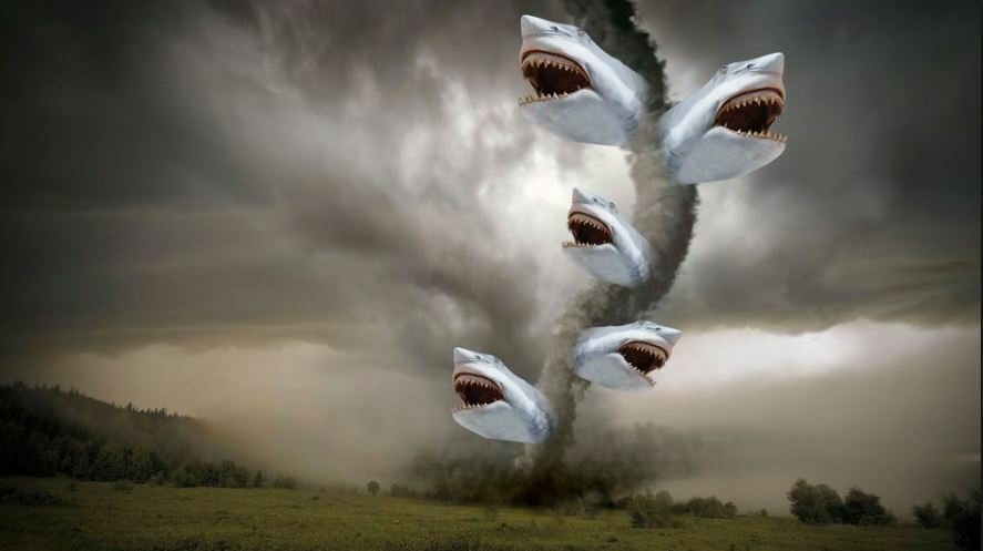 Un tornado di squali