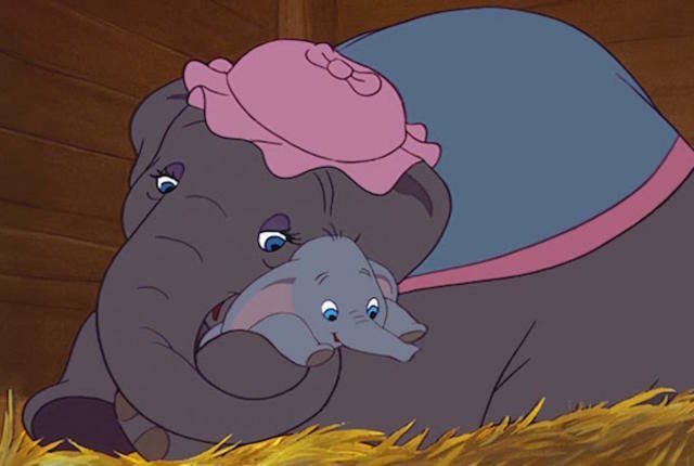 L'elefantino Dumbo e sua madre