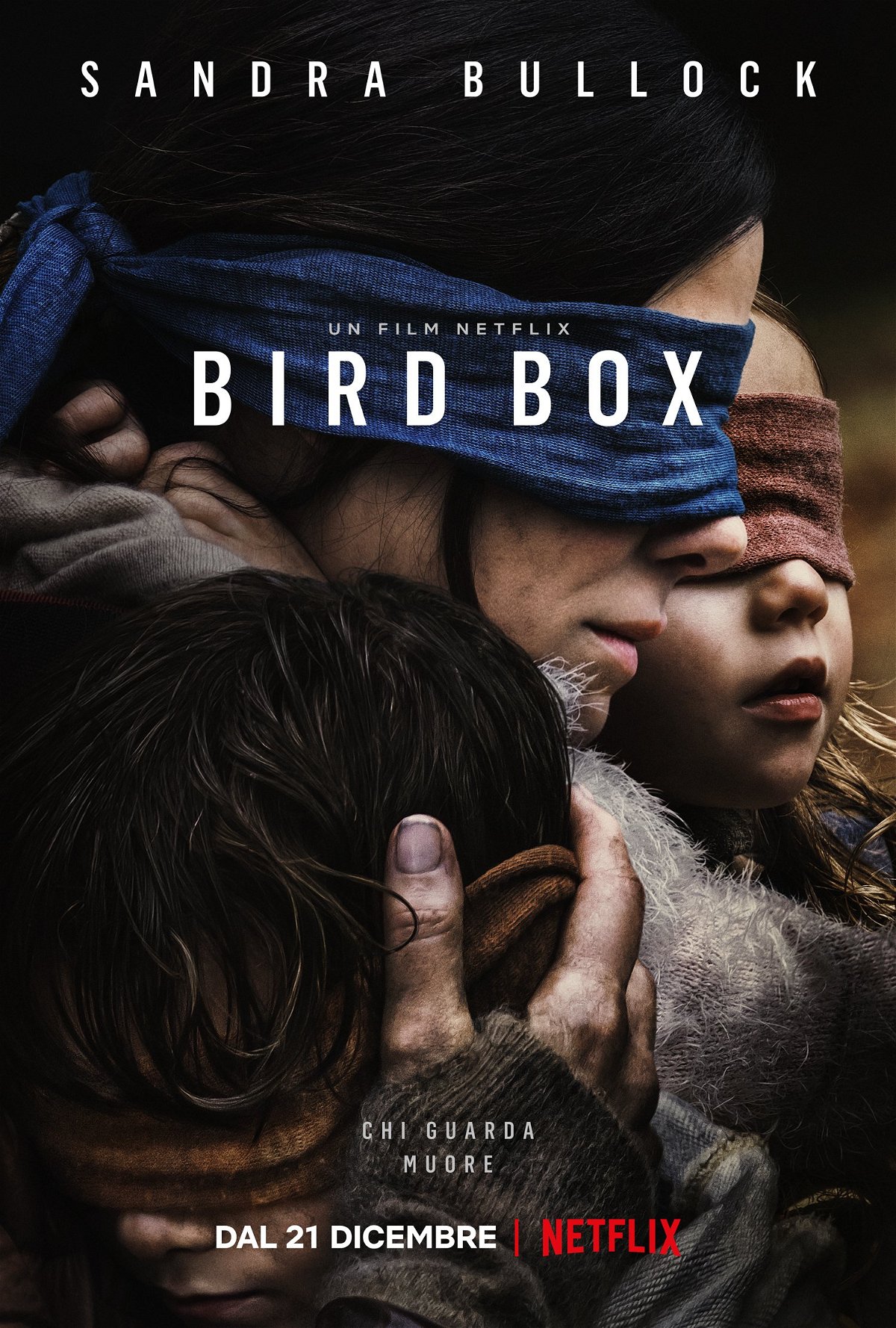 La locandina originale di Bird Box, film horror con Sandra Bullock