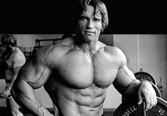 Arnold Schwarzenegger, muscoli da body builder