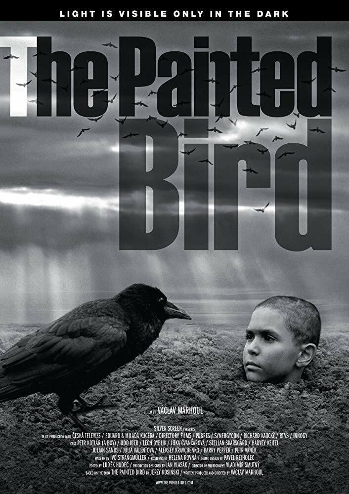 Il poster ufficiale di The Painted Bird