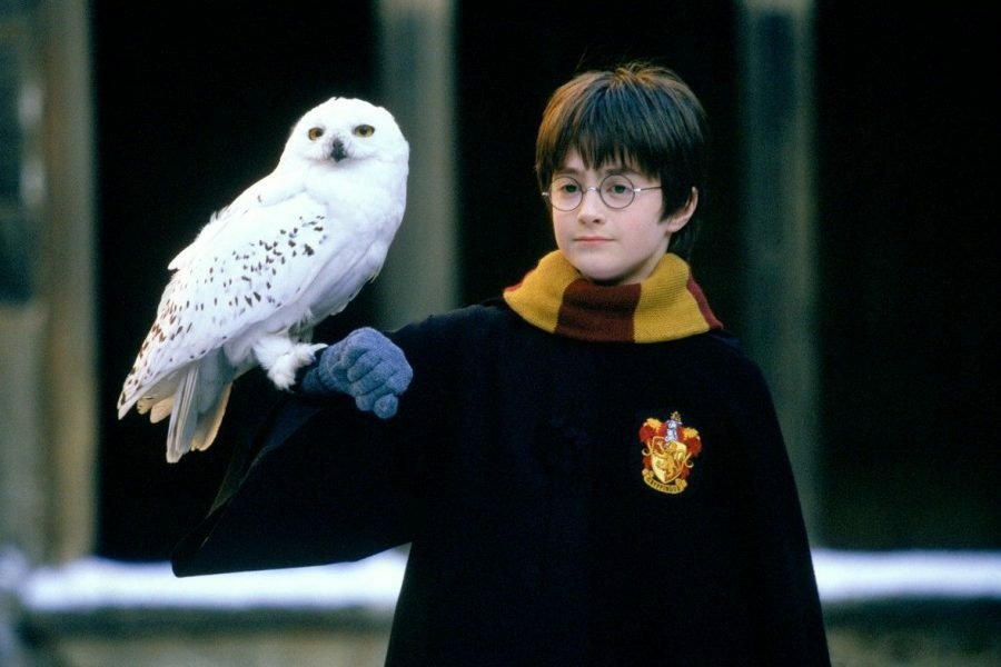 Il giovane mago Harry Potter con la sua civetta Edvige