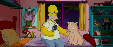 Homer pettina Spider Pork sul letto di Bart