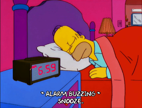 Gif di Homer Simpson mentre dorme