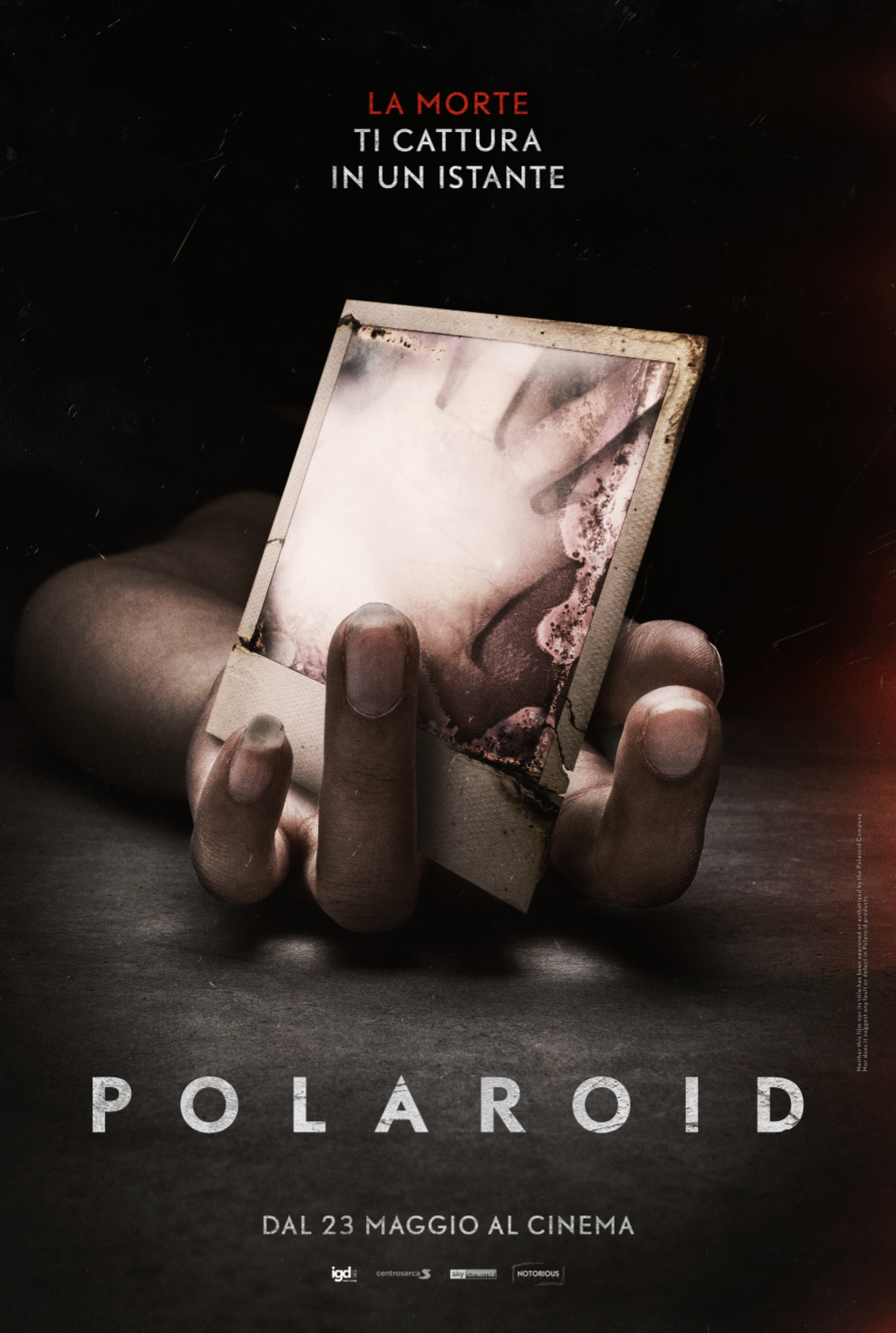 Il poster ufficiale di Polaroid