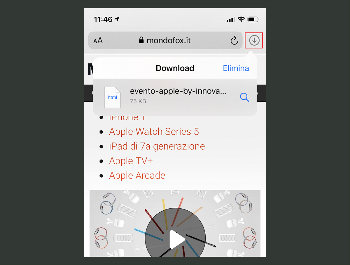 In alto a destra l'icona del Download Manager di Safari con iOS 13 