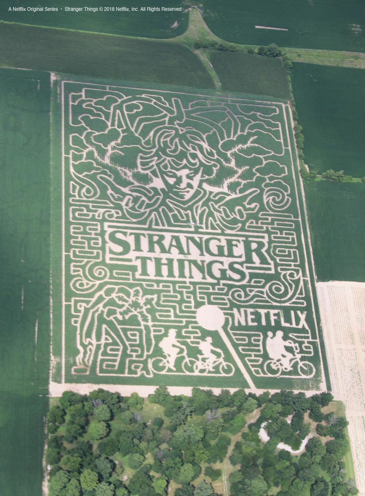 Il labirinto di Stranger Things visto dall'alto