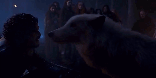 Clicca per vedere l'immagine originale Jon carezza Spettro