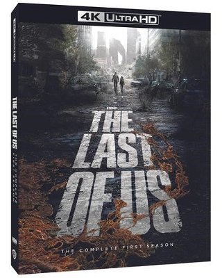 The Last of Us cover 4K