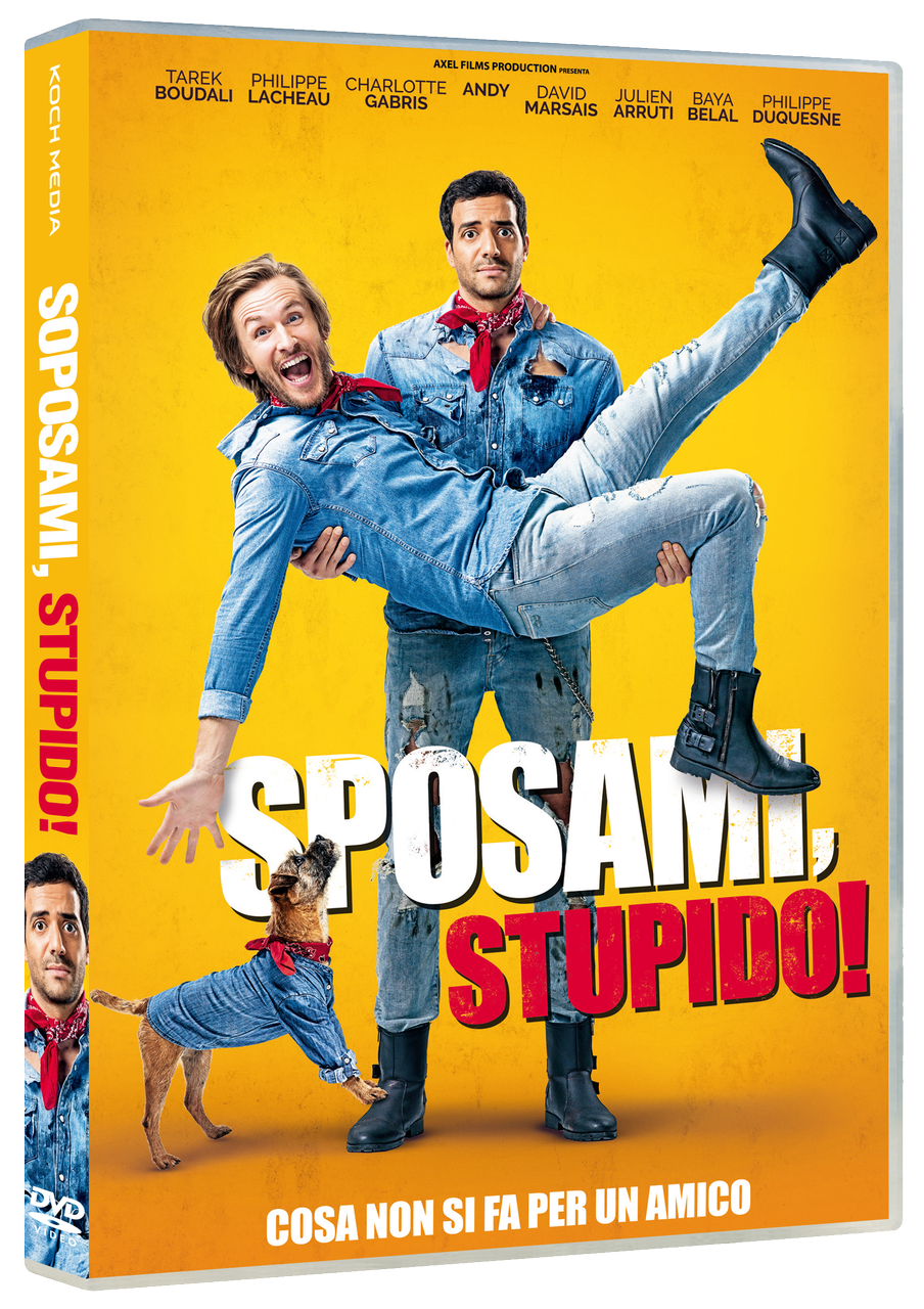 La copertina del DVD di Sposami, Stupido!