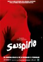 Copertina di Suspira di Dario Argento tornerà nei cinema italiani in versione 4K