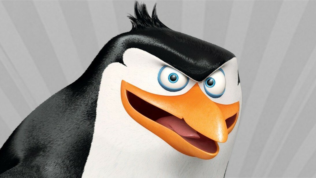 Il pinguino Rico