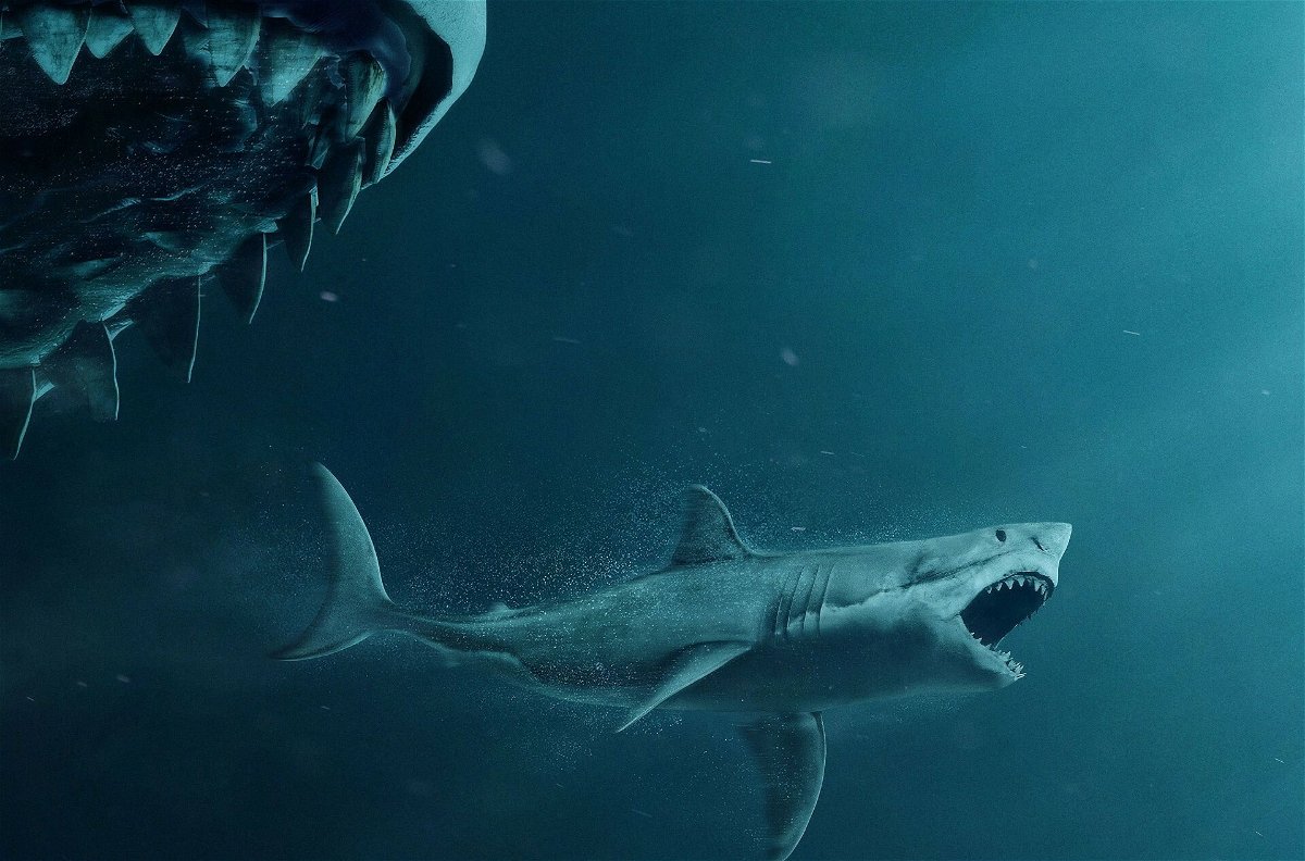 Un'immagine del film Shark - Il primo squalo che ritrae due squali mentre uno cerca di mangiare l'altro