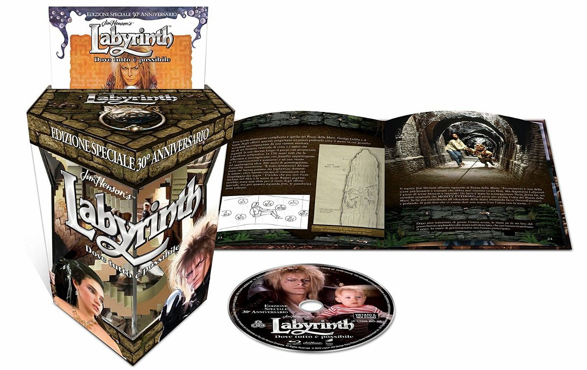 Labyrinth: Dove Tutto È Possibile (30° Anniversario) Maze Edition