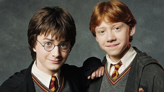 Harry Potter e il suo piccolo amico Ron Weasley
