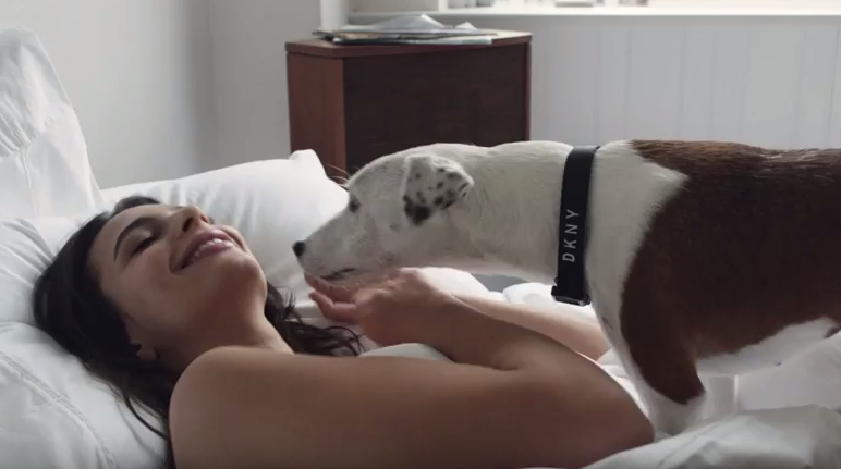 Emily Ratajkowski viene svegliata dal suo cane